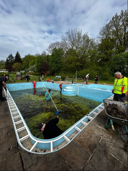 Poolreinigung 2024