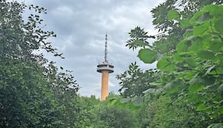Wanderung Gaußturm 2024
